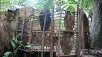 Suasana di dalam Kampung Primitif