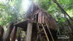 Banyuwangi Punya Kampung Primitif, Seperti di Pedalaman