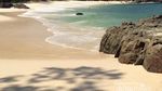 Banyuwangi Punya Teluk Hijau yang Cantik
