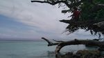 Banyuwangi Punya Teluk Seindah Ini
