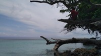 Laut - seluas mata memandang