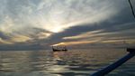 Banyuwangi Punya Teluk Seindah Ini
