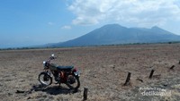 Savana Bekol di Taman Nasional Baluran
