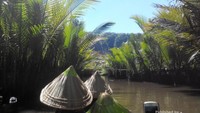 Pemandangan daun Nipah sepanjang sungai Pute