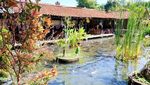 Basah-basahan Seru di Taman Air Tlatar Boyolali