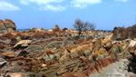 Batu Batik, Keajaiban Geologis Unik dari Ciletuh Sukabumi