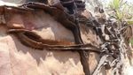 Batu Batik, Keajaiban Geologis Unik dari Ciletuh Sukabumi