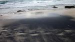 Batu-Batu Karang yang Eksotis di Pantai Klayar