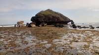 Bebatuan karang