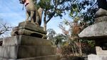 Batu di Kuil Kyoto Ini Dipercaya Bisa Meramal