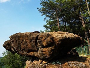 Batu Meja yang Unik dari Banyumas