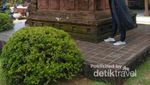 Bayar 8.000 Rupiah Bisa Keliling Jawa Tengah, Ini Caranya