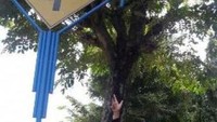 Petunjuk Arah Anjungan