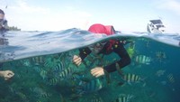 Snorkeling di sekitar Pulau Cemara Besar.