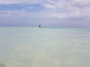 Beberapa Hari di Karimunjawa, Bisa Apa Saja?
