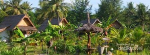 Begini Asal Muasal Nama Pulau Lombok