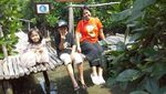 Begini Asyiknya Wisata ke Hutan Mangrove di Jakarta