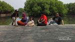 Begini Asyiknya Wisata ke Hutan Mangrove di Jakarta