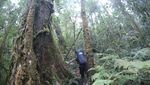 Begini Cantiknya Gunung Tertinggi di Sumbar