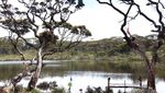 Begini Cantiknya Ranu Kumbolo Ala Sumatera Barat