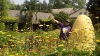 Mengabadikan momen di Pulau Kelapa dengan berfoto di taman bunga yang ada di pulau tersebut.