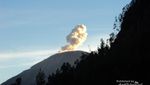 Begini Indahnya Edelweis di Ranu Kumbolo