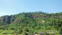 Dari lantai 2 dan 3, menghadap ke belakang akan tampak bukit hijau