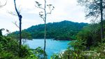 Begini Pesona Alami Pantai Batu dan Teluk Ijo Banyuwangi