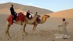 Begini Rasanya Menjelajahi Gurun Pasir Abu Dhabi