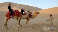 Pengalaman pertama menaiki unta di Padang Pasir Abu Dhabi