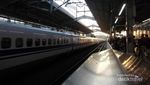 Begini Rasanya Naik Kereta Super Cepat Shinkansen
