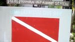 Begini Serunya Menyelam di Pulau Pramuka