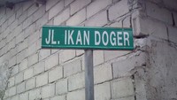 Jl Ikan Doger