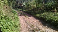 Jalanan berbatu
