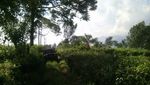 Begini Serunya Offroad di Bogor