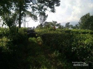 Begini Serunya Offroad di Bogor