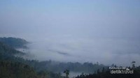 Bukit Kabut Bawang Bakung