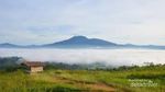 Begini Suasana Negeri di Atas Awan Liwa, Lampung