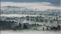 Kabut melingkupi Liwa dari Bukit Kabut Bawang Bakung