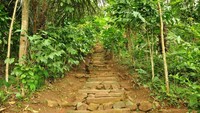 Jalan Setapak Menuju Gunung Padang