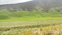 Menjulang seperti rumah Teletubbies di film