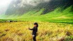 Beginilah Bukit Teletubbies di Gunung Bromo