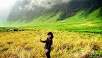 Perbukitan yang hijau