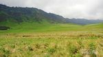 Beginilah Bukit Teletubbies di Gunung Bromo