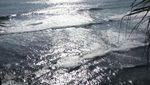 Beginilah Keindahan Pantai di Gunungkidul