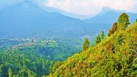 Pemandangan cantik