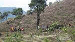 Beginilah Pemandangan Serba Cantik di Gunung Prau