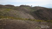 Bukit teletubies