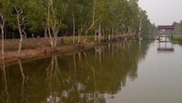 Taman Nasional Wasur