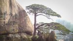 Begitu Magis, Pegunungan Huangshan China Ini